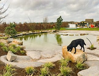 Evenement: Voorjaar Playdate Vrienden van de Västgötaspets